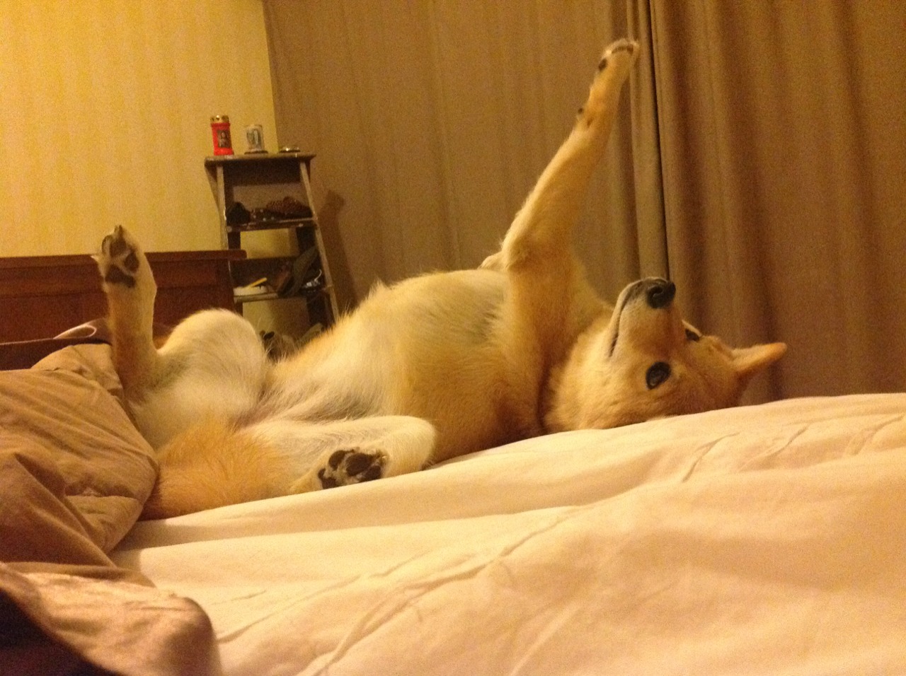 中超球队边锋与边后卫配合成功率趋势，中超右边锋