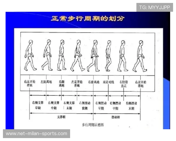 田径训练营引入步态分析与力量评估提升技术细化，田径项目的步频是指